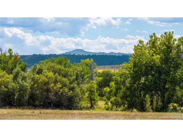 4959 Bayou Gulch, Parker, CO 80134