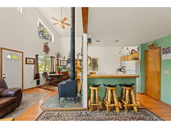 3943 CO Rd 403, Lake George, CO 80827