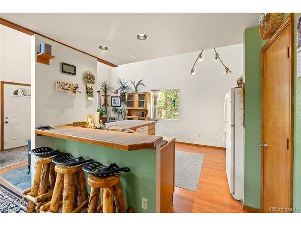 3943 CO Rd 403, Lake George, CO 80827