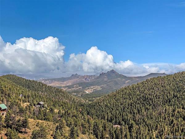 13809 Elsie, Conifer, CO 80433