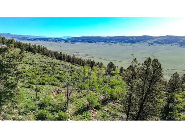 4924 Middle Fork, Fairplay, CO 80440