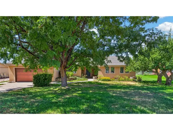 259 Willow Creek, Parachute, CO 81635