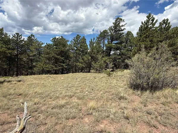 291 Kline, Fort Garland, CO 81133