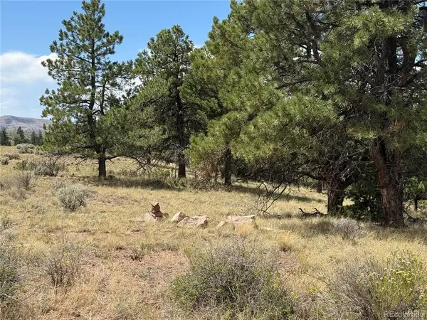 291 Kline, Fort Garland, CO 81133