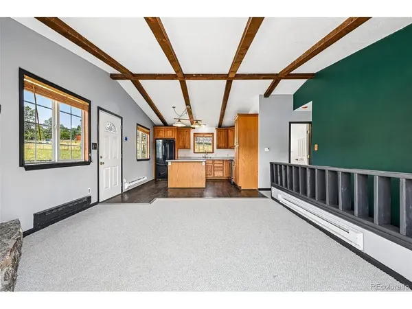 461 Yellow Pine, Bailey, CO 80421