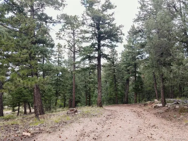Fern Gulch Lot 14, Evergreen, CO 80439