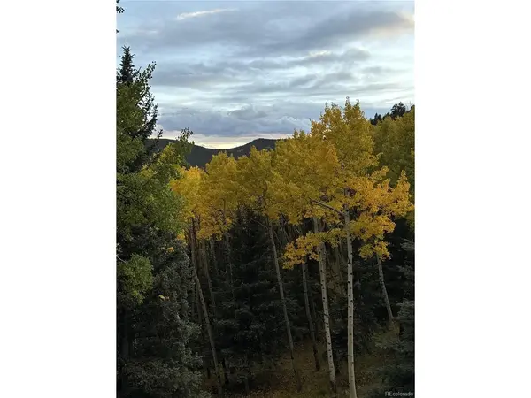 160 Meadowlark, Evergreen, CO 80439