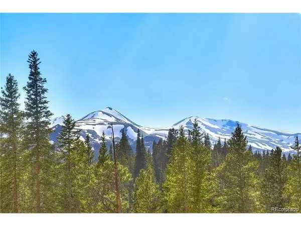 103 CR 529, Breckenridge, CO 80424