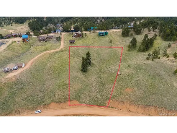 175 Twin Lakes, Divide, CO 80814