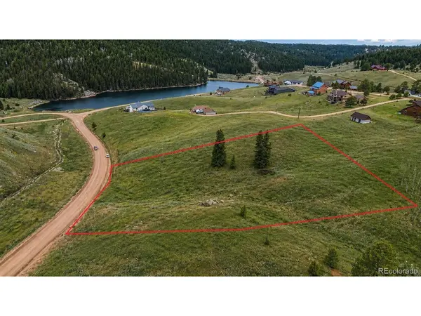 175 Twin Lakes, Divide, CO 80814