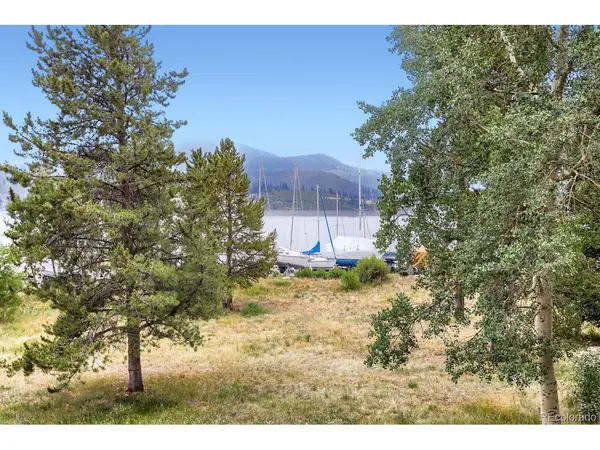 160 E La Bonte #B-201, Dillon, CO 80435