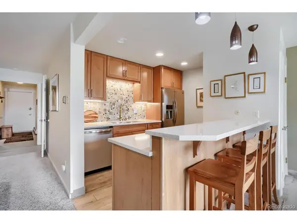 160 E La Bonte #B-201, Dillon, CO 80435