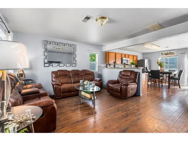 4528 Andes, Denver, CO 80249