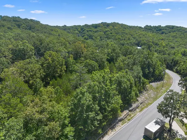 Lot 13 Blue Heron Shores, Lampe, MO 65681
