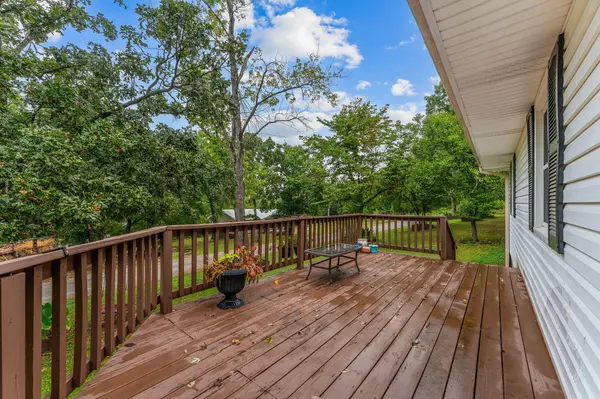 139 Grape LN, Branson, MO 65616