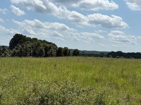 2285 County Road 437-B, Mountain View, MO 65548