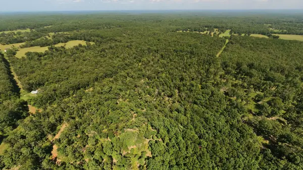 000 County Road 127, Alton, MO 65606
