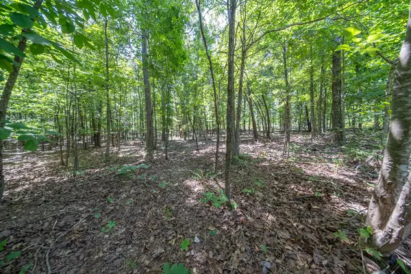 000 County Road 127, Alton, MO 65606