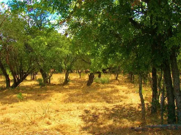 737 Birch 8 Lots All Together, Cottonwood Shores, TX 78657