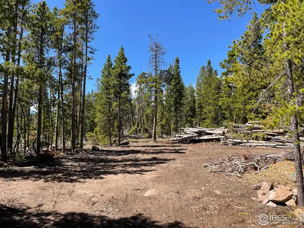 0 Forest Service 169 #Parcel #3, Red Feather Lakes, CO 80545