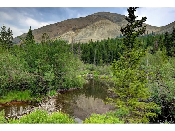9562 CO RD 18, Fairplay, CO 80440