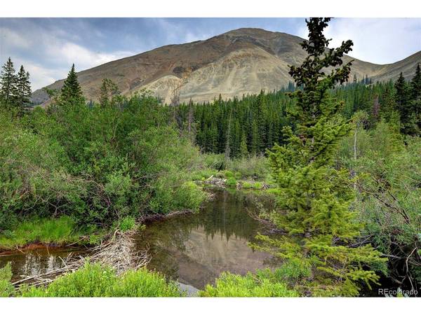 9562 CO RD 18, Fairplay, CO 80440