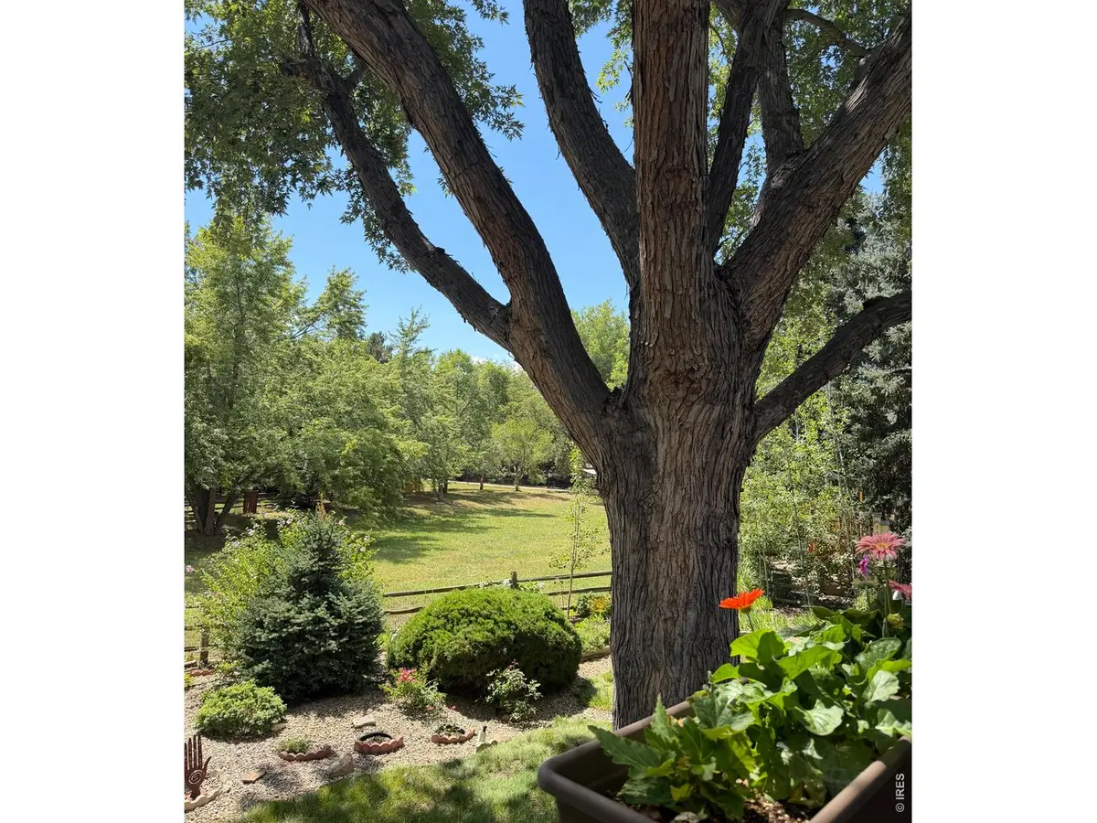 7368 Dry Creek, Niwot, CO 80503