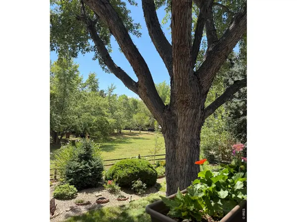 7368 Dry Creek, Niwot, CO 80503