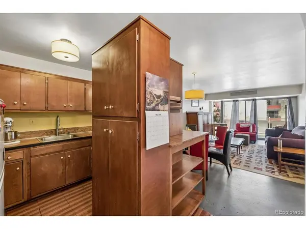 1121 Albion #307, Denver, CO 80220
