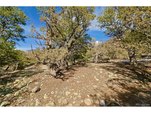 2130 Big Ranch, Crestone, CO 81131