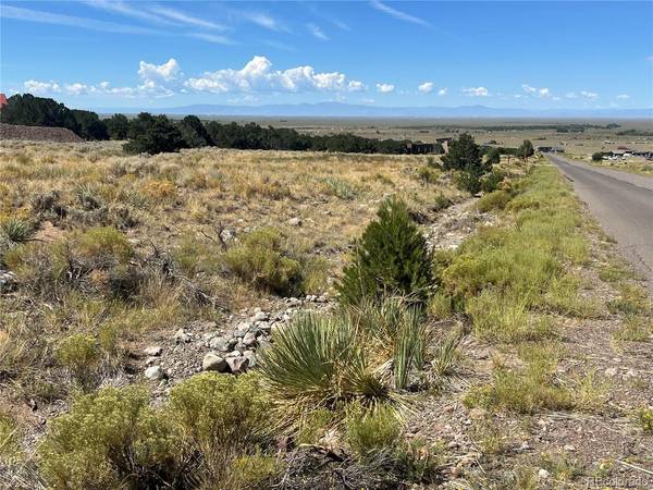 3492 Camino Del Rey, Crestone, CO 81131