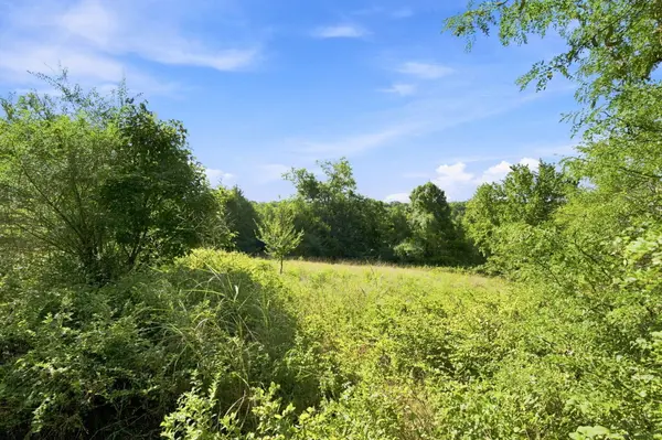 520 Crawley WAY, Forsyth, MO 65653