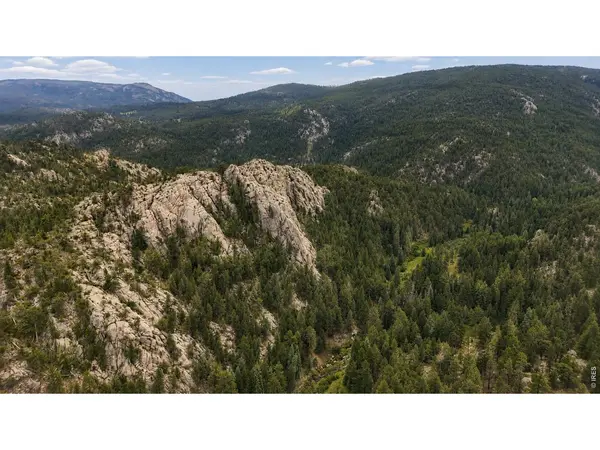 0 County Road 59, Allenspark, CO 80510