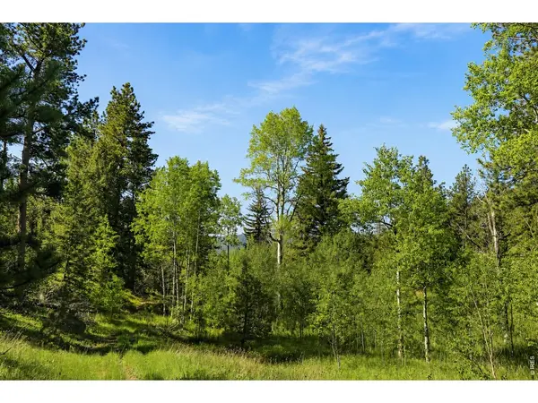 0 County Road 59, Allenspark, CO 80510