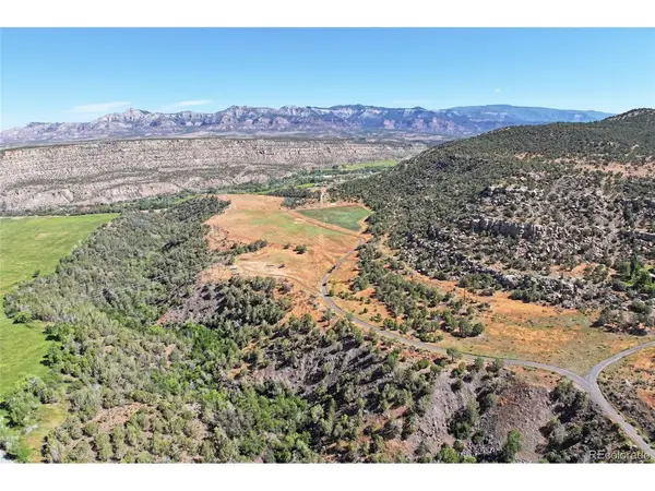 5402 KE2, Collbran, CO 81624