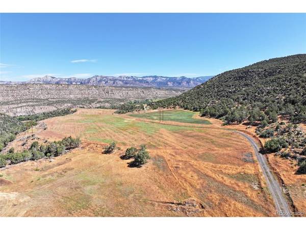 5402 KE2, Collbran, CO 81624