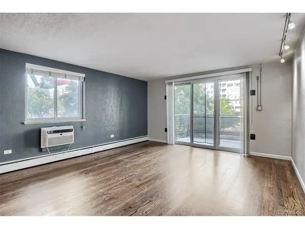 1336 N Logan #302, Denver, CO 80203