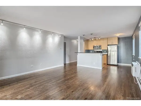 1336 N Logan #302, Denver, CO 80203