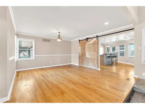 157 Cheney, Castle Rock, CO 80104