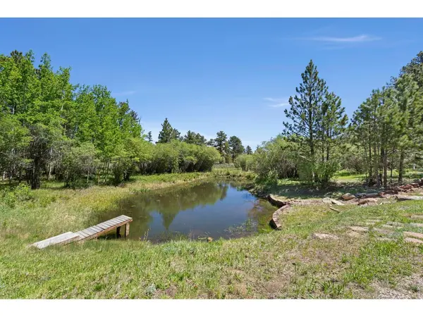 560 Pipsissewa, Red Feather Lakes, CO 80545