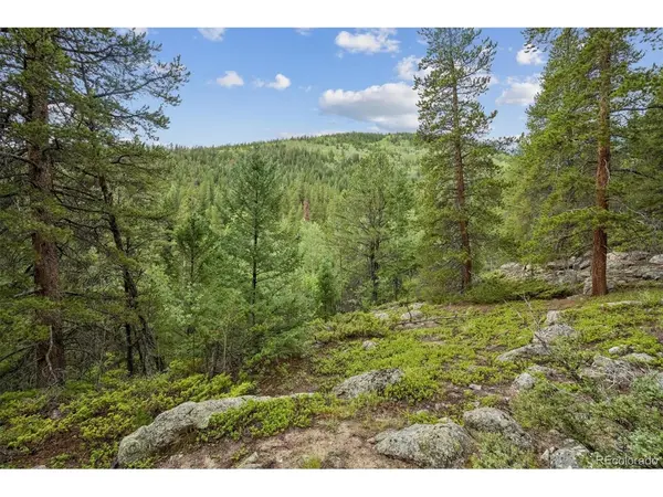 1 Fall River, Idaho Springs, CO 80452