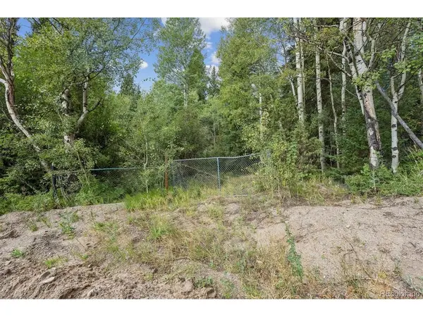 1 Fall River, Idaho Springs, CO 80452