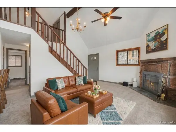201 Silver Creek, Idaho Springs, CO 80452