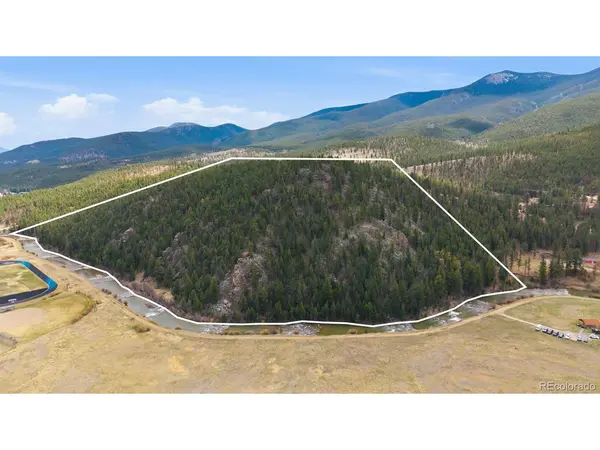901 CR 64, Bailey, CO 80421