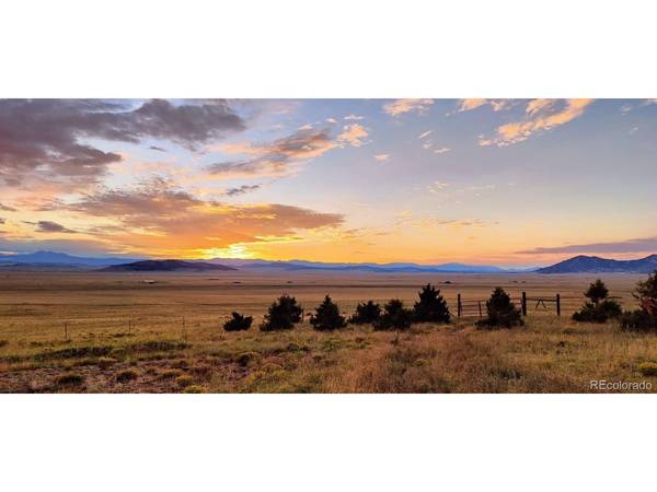 2030 Puma Hills, Lake George, CO 80827