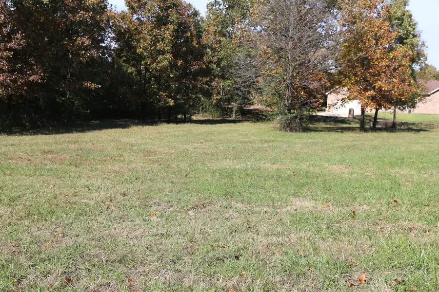 000 Wild Turkey #Block 1 Lot 3, West Plains, MO 65775