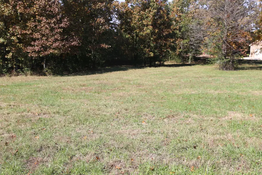 000 Wild Turkey RD #Block 1 Lot 10, West Plains, MO 65775