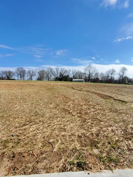 Lot 48 Vintage Pointe, Springfield, MO 65809