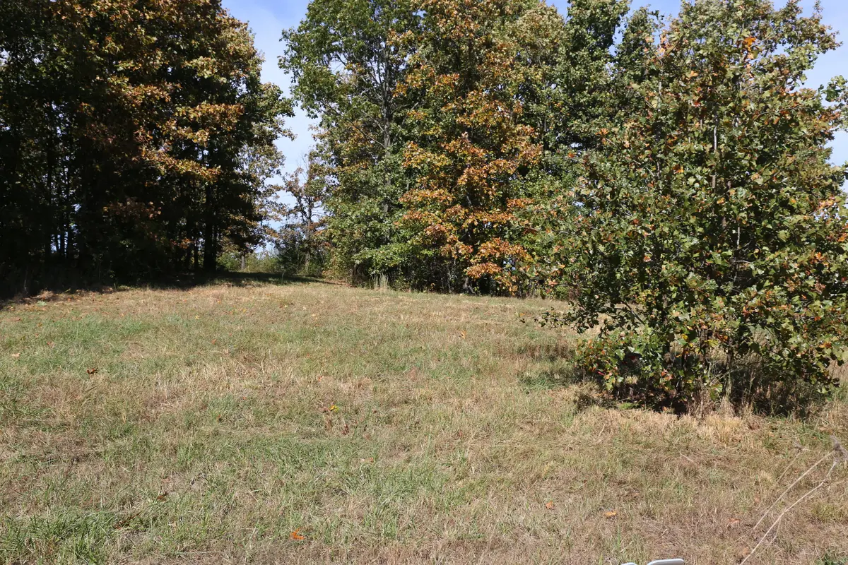 000 Wild Turkey RD #Block 1 Lot 5, West Plains, MO 65775