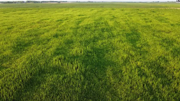 0 W Boundary Rd, Pretty Prairie, KS 67570